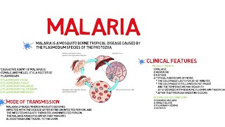 Thanks for watching ☺️song : wonki- seasonmusic provided by vlog
no copyright musicvideo link - https://youtu.be/7fgqxbuvuve#malaria
#hindi #clinicalfeatures...