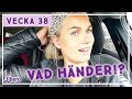 Kan röra bebis huvud!? - Jonna Thorin vecka 38