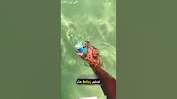 هذه المرأة حاولت تصنع ملح في منزلها وبعدها هذا اللي صار Shorts Shortvideo Shortsfeed 