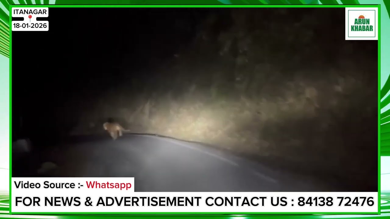 Royal Bengal tiger stuns travellers with rare roadway appearance in Mayudia | The Arun Khabar 