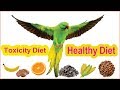Ringneck parrots Diet  Main Healthy diet  and Toxicity diet  konsi hain  urdu hindi  tips