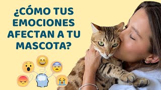 ¿CÓMO INFLUYEN MIS EMOCIONES EN EL CARÁCTER DE MIS ANIMALES?  Lauvet