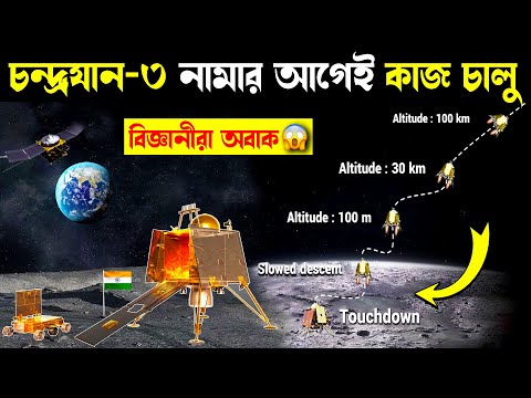 ভিডিও: শ্রু কি লাইভ ছিল?