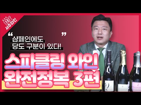 샴페인 완전정복 심화편 §데고르주망과 르뮈아주§ [서주완의 서주와인]