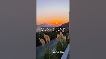 الشيخ حلمي الجمل نوادر روعه اجمل ما قراء ممتاز جدا نادر #تلاوات