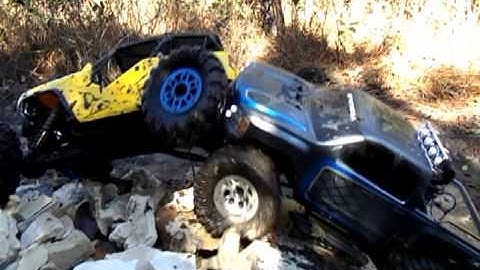 Axial scx10 dingo and axial wraith