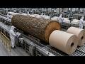 Inside the Tissue Paper Factory | From Wood Logs to Toilet Paper