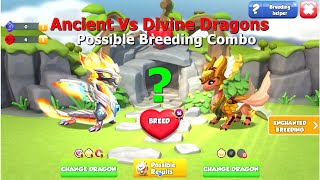 Possible Breeding Combo Ancient Vs Divine Dragons?- Dragon Mania Legends | DML