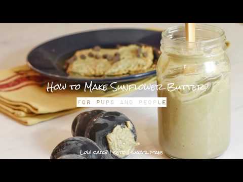 Quick Answer Is Sunflower Butter Good For Dogs Bikehike Quick Answer Is Sunflower Butter Good For Dogs Bikehike