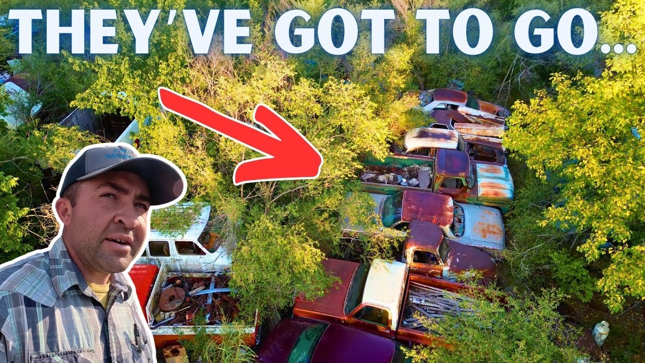 They are Trying to SHUT OUR BUSINESS DOWN! Can we Find a Solution?