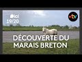 Découverte du marais Breton
