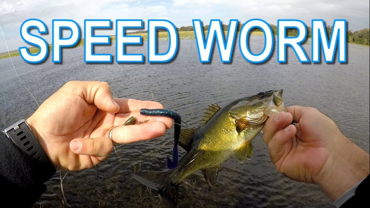 Speed Worm at Lake Toho to Find Bass during the Spawn 