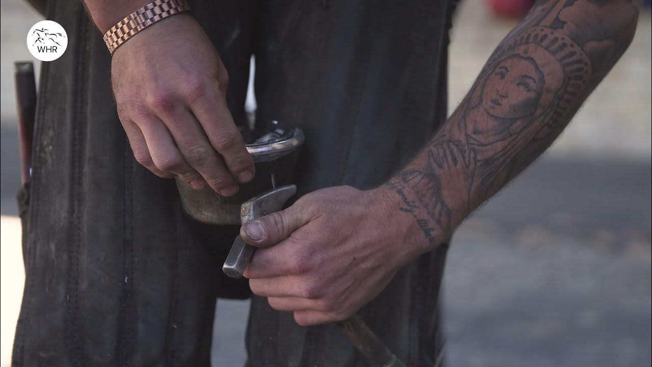 HOW TO PUT SHOES ON A RACEHORSE THE IMPORTANCE OF FARRIERS AND SHOEING YouTube