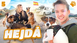 RÄDDAR HEMLÖS HUND I SPANIEN | DEL 5 - S1