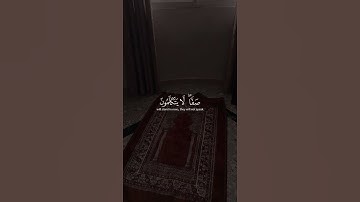 اكتب شيء تؤجر عليه 😴🩶 اذكر الله يذكرك #قران كريم بصوت القارئ عبد الرحمن مسعد