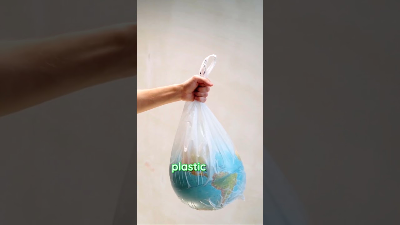 😱danger for pet owners⚠️*”10 Eco-Friendly Pet Care Tips to Save the Planet 🌎🐾 | 😱danger for pet owners⚠️*”10 Eco-Friendly Pet Care Tips to Save the Planet 🌎🐾 |