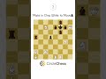 Can you solve this puzzle? 🧩♟️ #chess #chesspuzzle #chessproblems #viralshorts #circlechess #shorts