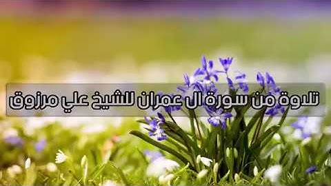 تلاوة من سورة ال عمران للشيخ علي مرزوق