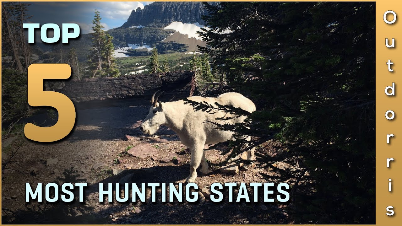 Top 10 Most Hunting States YouTube