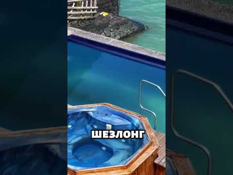 Наглый тюлень выгоняет человека с шезлонга! 🦭☀️ #животные