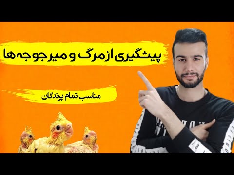 تصویری: 3 روش دفن لاشه پرندگان