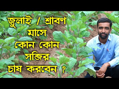 ভিডিও: গ্রিনহাউসে বেগুন: চাষ, রোপণের তারিখ, যত্ন, গুল্ম গঠন, জাত নির্বাচন