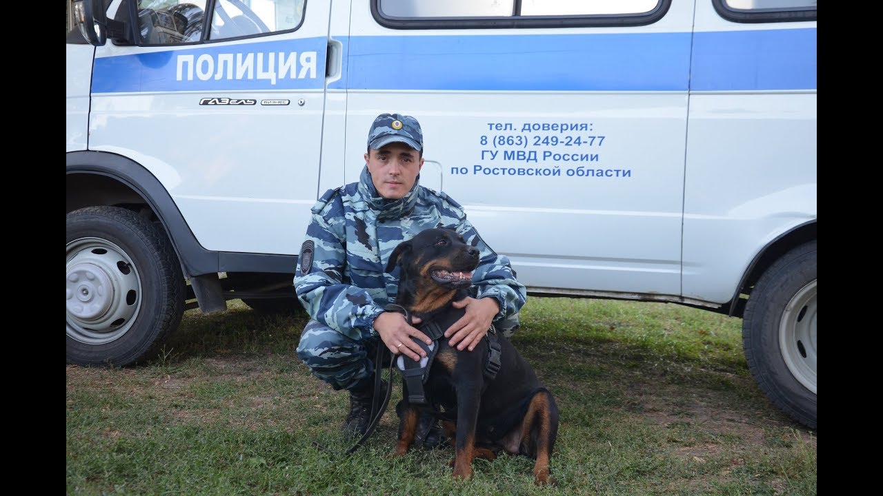 Волгодонский полицейский кинолог усмирил разъяренную овчарку,  представлявшую угрозу жизни граждан