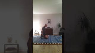 Vidéo 6 Renfo gainage, pompes