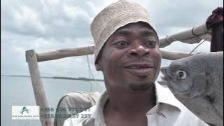 KALI MPYA YA MAU MPEMBA - SAMAKI WA PEMBA