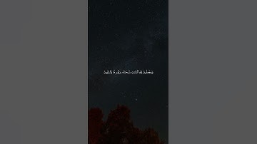 سورة النحل | 57 - 59 | القارئ #عبدالرحمن_مسعد