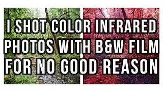 Making Color Infrared Photos with B&W Film - Infrared Trichrome Photography