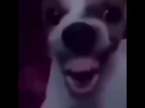 fnaf 1 jumpscare Best Sound Alert Memes