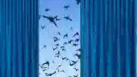 Visit Opulent Music.Com