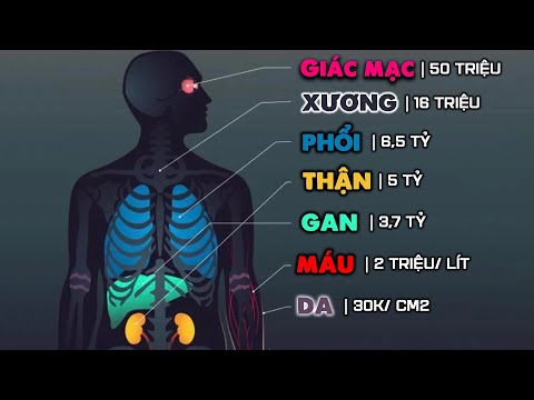 Video: Chợ đen: thực chất, các loại và tình trạng hiện tại