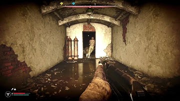 STALKER 2, Terribly dumb AI,