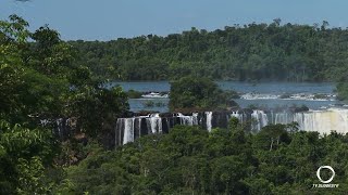 Paraná reduz 64% do desmatamento ilegal da Mata...