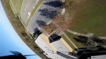 Floss v2.1 team edition 6s 6inch arms