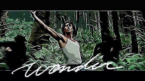 Shawn Mendes Wonder  (Oil Painting Version) - Animation Music Video - Cartoon Film