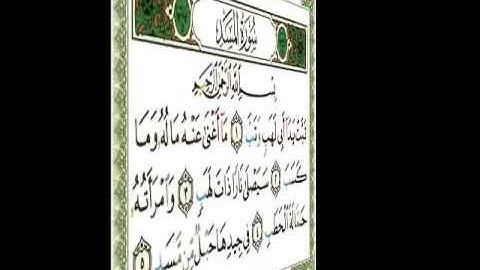 ١١١ سورة المسد ناصر القطامي