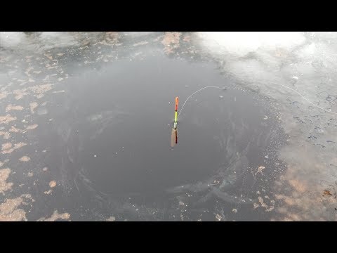 Снасть "Убийца Плотвы" !