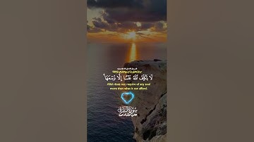 قران الكريم راحة نفسية#راحة_نفسية #الا_بذكر_الله_تطمئن_القلوب #قرآن #قران_كريم #لايك #اكسبلور