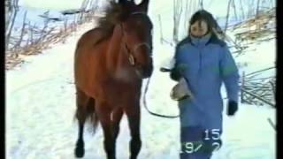 MAMBRENO Tromsø Rideskole 1991 Del 1 av 4