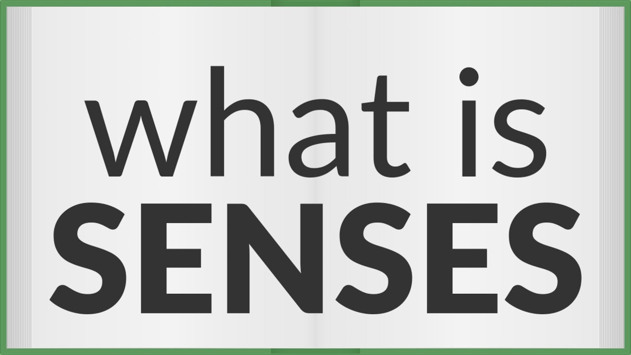 Senses Meaning Of Senses YouTube Senses Meaning Of Senses YouTube