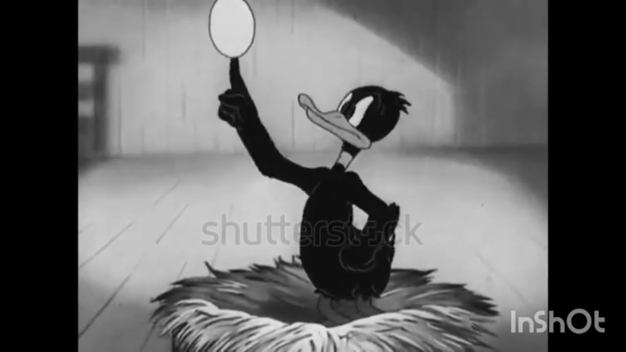 Daffy Duck's wife wants a divorce.