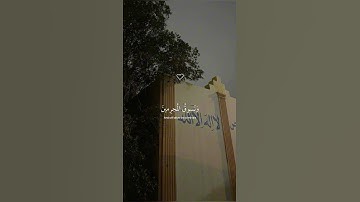 #القران_الكريم #تلاوة_هادئة لا إله إلا الله وحده لاشريك له 🌿🤍