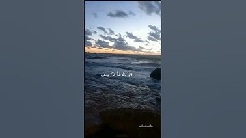 سورة يوسف : {الآية 83}