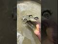 Cleaning T thar Rock  Black  ASMR Sastisfying mur