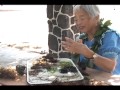 Ethnobotany Of Limu Ethnobotany Of Limu