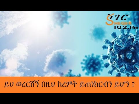 ቪዲዮ: በዚህ ክረምት ወደ ክራይሚያ እንዴት እንደሚደርሱ