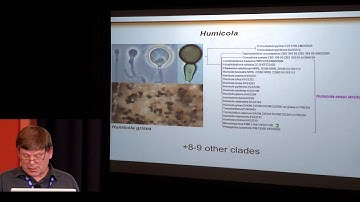 20 Keith Seifert & Paul Kirk  Ellis’s Dematiaceous Hyphomycetes reconsidered